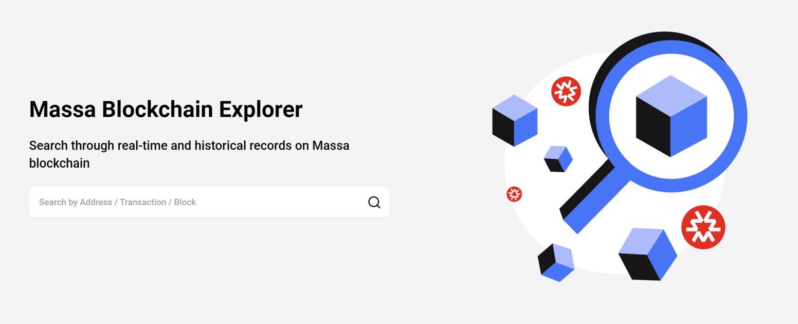 Massa Explorer - TopHolders